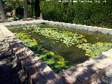 La Granja. Estanque-fuente