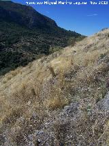 Castillo Vboras. Camino del Ro. Ladera del camino