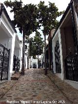 Cementerio de Martos. Calle