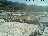 Salinas de San Jos. 