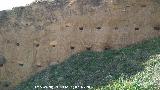 Muralla de Jan. Torren Sur II. Mechinales