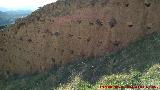 Muralla de Jan. Torren Sur II. Mechinales