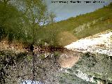 Ro Guarrizas. Antes de caer por la Cascada de la Cimbarra - Aldeaquemada