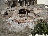 Termas Romanas de la Carrera. 