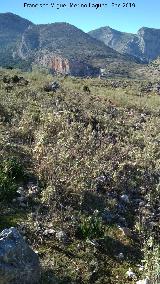 Mirasierra. Vistas hacia el Cerro Calar