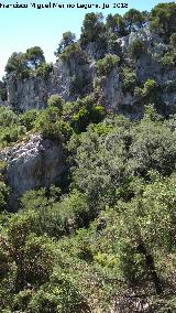 Barranco de los Corzos. Paredes