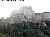 Aldea Almenara. Ruinas de un cortijo