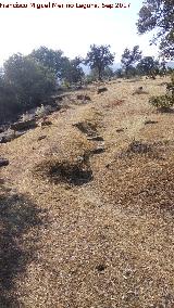 Trincheras del Cerro de las Trincheras. 