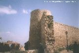 Muralla de Jan. Lienzo de la Carretera de Crdoba. Se puede apreciar su grosor y materiales