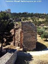 Muralla de Jan. Puerta de la Llana. 