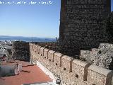 Castillo de Salobrea. Tercer recinto. Murallas