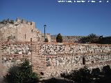 Castillo de Salobrea. Alcazaba. 