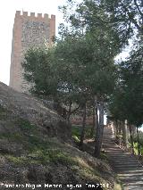 Alcazaba. 