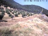 Oppidum del Cerro de Santa Catalina. Se aprecia la insinuacin de la muralla por debajo del carril donde estn los bomberos