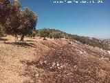 Oppidum del Cerro de Santa Catalina. Lnea de muralla