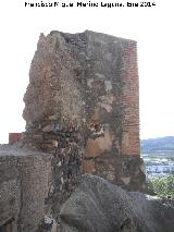 Alcazaba. Muralla y Torren Occidental. Torren