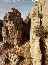 Cerro de Santa Catalina. Paso en la ladera sur