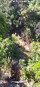 R�o Aguasmulas