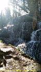 Parque Natural del Monasterio de Piedra. Cascada de los Fresnos Altos