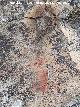 Pinturas rupestres del Abrigo del Guadal�n II