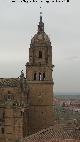 Catedral Vieja. Torre de las Campanas