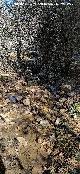 Arroyo del Barranco de la Ca�ada de las Fuentes