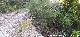 Camino del Arroyo del Hombre