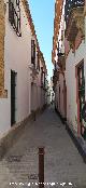 Calle Elio Antonio