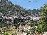 Grazalema Grazalema