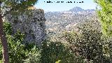 Torre de los Olivillos Torre de los Olivillos