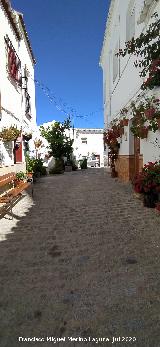 Calle Mirador Calle Mirador